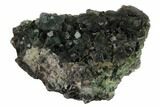 Green Octahedral Fluorite Crystal Cluster - China #146898-1